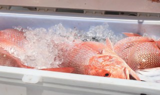 鲜鱼如何在冰箱保鲜 怎样用冰箱保存鲜鱼