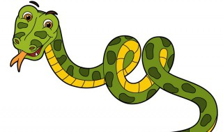 中国古代蛇的别名 蛇在古代的雅称