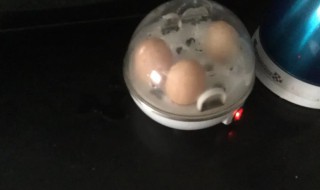 迪士尼煮蛋器怎么使用 迪士尼可以带水煮蛋吗