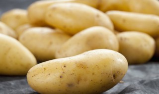 土豆能保存多久 新鲜土豆能保存多久