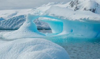 南极浮冰的味道是什么味的 南极海洋上的浮冰味道是否有淡的