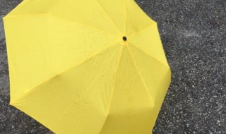 雨伞可以当太阳伞吗 雨伞可以当太阳伞吗?