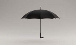 遮阳伞可以当雨伞用吗（雨伞可以用来遮阳吗）