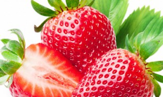盆栽的草莓施什么肥好不要化肥