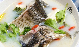 钢针鱼鱼汤怎样做好喝 钢针鱼汤怎么做好喝