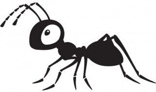蚂蚁为什么要杀死蚁后 杀死蚂蚁后会不会有更多