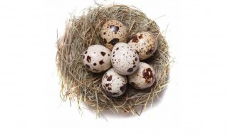买的鹌鹑蛋能孵出鹌鹑吗 市面上买的鹌鹑蛋能孵化出鹌鹑吗