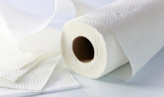 卫生纸用什么材料做的 卫生纸都有什么材料,什么纸