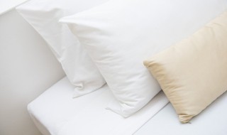 床褥子什么材质的好 床上铺的褥子用什么材质的好?
