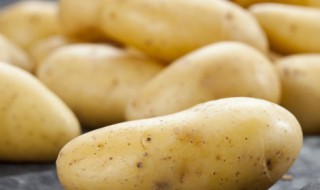 马铃薯种子催芽技术 马铃薯种薯催芽有哪两种方法
