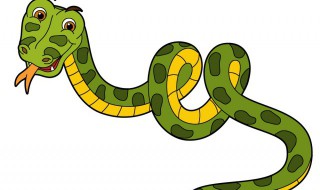 菜花蛇是保护动物吗（野生菜花蛇是国家三级保护动物吗）