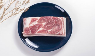 猪肉哪个部位是一等肉 猪肉是哪个部位的肉