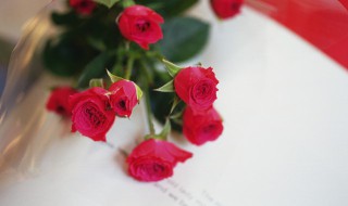 送老婆送什么颜色玫瑰（送老公送什么颜色的玫瑰）