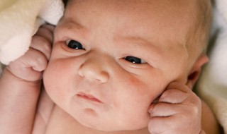 婴儿耳廓脏怎么清洗 宝宝耳轮廓可以清洗吗
