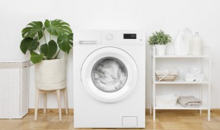 全自动洗衣机有异味怎么清除 全自动洗衣机异味怎么处理