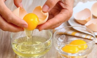 微波炉蛤蜊炖蛋的做法（蛤蜊炖蛋的做法）
