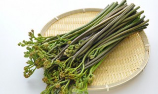 水蕨菜怎么做好吃 水蕨菜的吃法