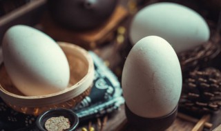 鹅蛋蒸蛋羹做法 蒸鹅蛋羹的做法