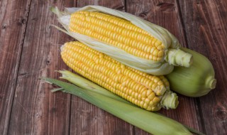 东北玉米冬天保存方法 玉米怎么储藏冬天吃