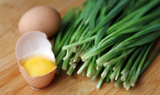韭菜蒸鸡蛋的做法窍门 韭菜蒸鸡蛋的做法
