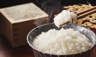 微波炉可以煮米饭吗 微波炉能不能煮米饭