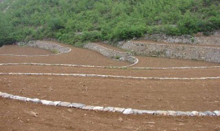 水土保存的方法 水土保持的方法