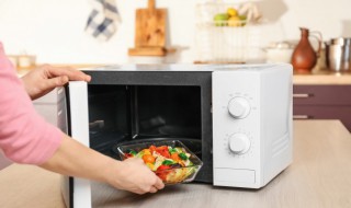 有内胆的饭盒可以放微波炉加热吗 有内胆的饭盒可以放微波炉加热吗