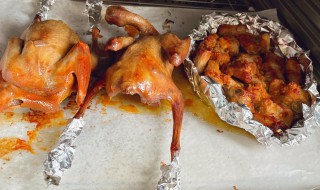 烤鸽子用什么烤 鸽子怎么做烤才好吃