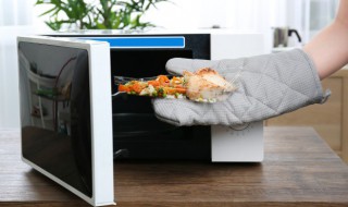 透明保温饭盒可以放微波炉吗（透明塑料饭盒可以用微波炉加热吗）