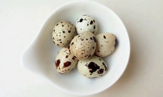 熟鹌鹑蛋保存方法 鹌鹑蛋生的保存方法