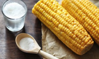 嫩玉米粒怎么储存才能保鲜 嫩玉米保存方法