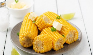 刚煮熟的玉米可以放冰箱吗 熟玉米放冰箱可以吗