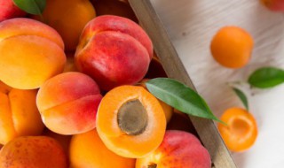 杏子的储存和保鲜方法 杏子保存方法