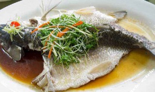 广东蒸鲩鱼的做法 蒸鲐鱼的做法