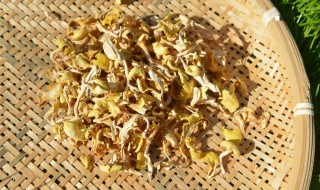 黄金菇怎么食用 黄金菇保存方法