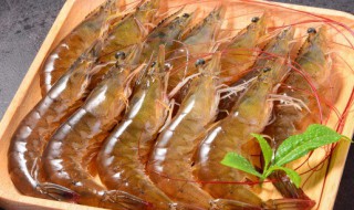 蒜蓉蒸大虾的做法步骤和时间 蒜蓉蒸大虾的做法