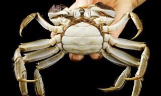 螃蟹怎么长期保存方法 螃蟹如何长期保存方法