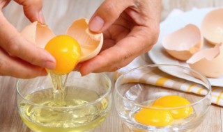 袋装鲜鸡蛋的保存方法 鲜鸡蛋要怎么样保存