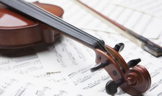 violin是什么意思 violin是什么意思英语怎么读