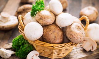 蘑菇怎么炒好吃又简单的做法 蘑菇怎样做好吃怎样炒好吃