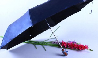 黑胶太阳伞能淋雨吗（黑胶伞就是太阳伞吗）