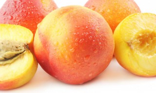 桃子是否可以放冰箱冷藏 桃子能放冰箱冷藏吗