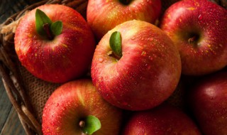 苹果能放冰箱保存吗 苹果是否可以放冰箱保存
