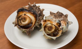 大海螺煮多长时间熟 大海螺煮多长时间