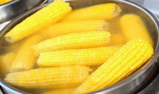 红薯和玉米需要煮多长时间 玉米需要煮多长时间