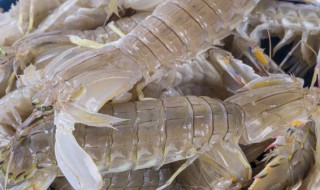 皮皮虾怎么煮多长时间 皮皮虾煮多长时间