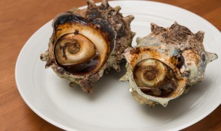 海螺煮多长时间最好吃 海螺煮多长时间