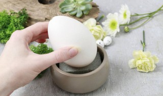 清水煮鹅蛋多长时间 煮鹅蛋多长时间