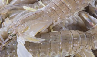 皮虾煮多长时间 煮皮虾用多长时间