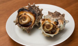 海螺煮多长时间可以吃 海螺煮多长时间能吃